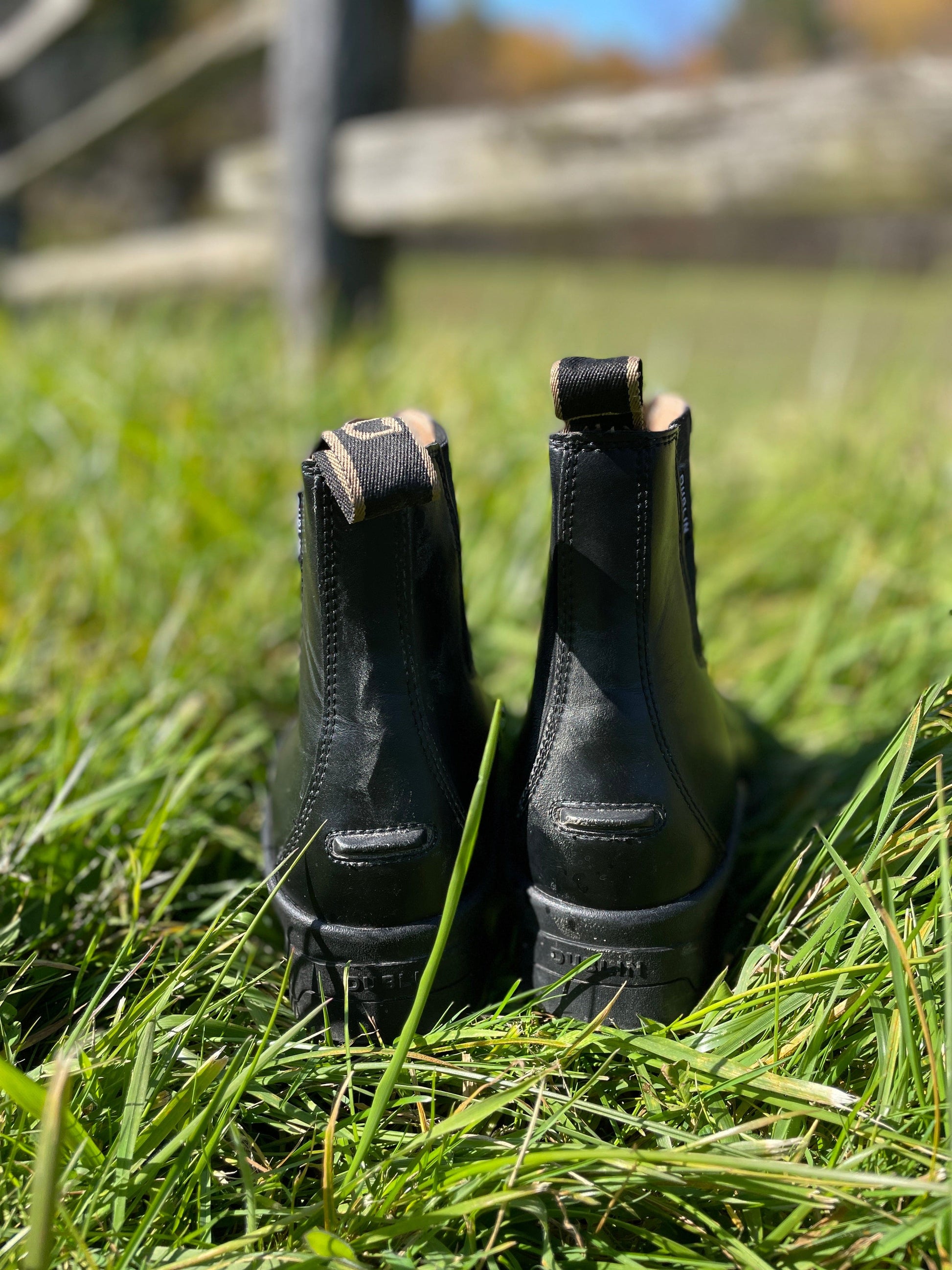 ThriftedEquestrian Boots Dublin Altitude Zip Paddock Boots - Size 9