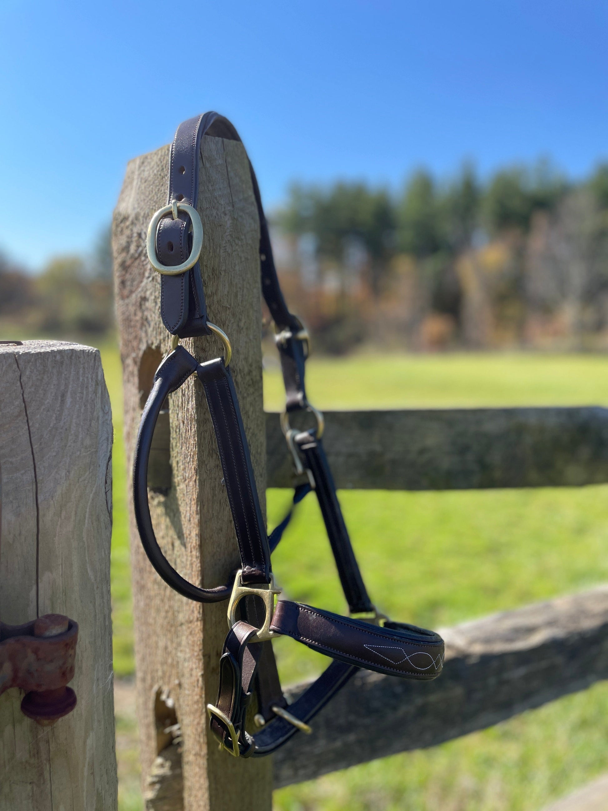 ThriftedEquestrian Halter Joseph Sterling Dorchester Padded Leather Halter - Cobb