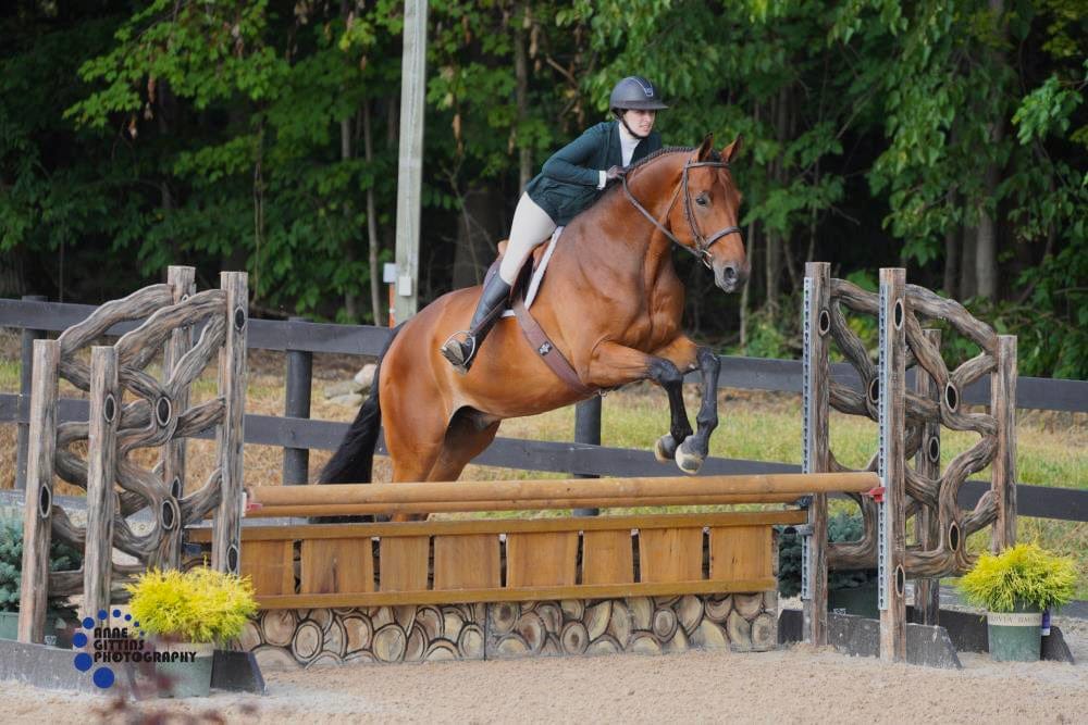 ThriftedEquestrian Rj Classics Harmony Show Coat - Ladies 8