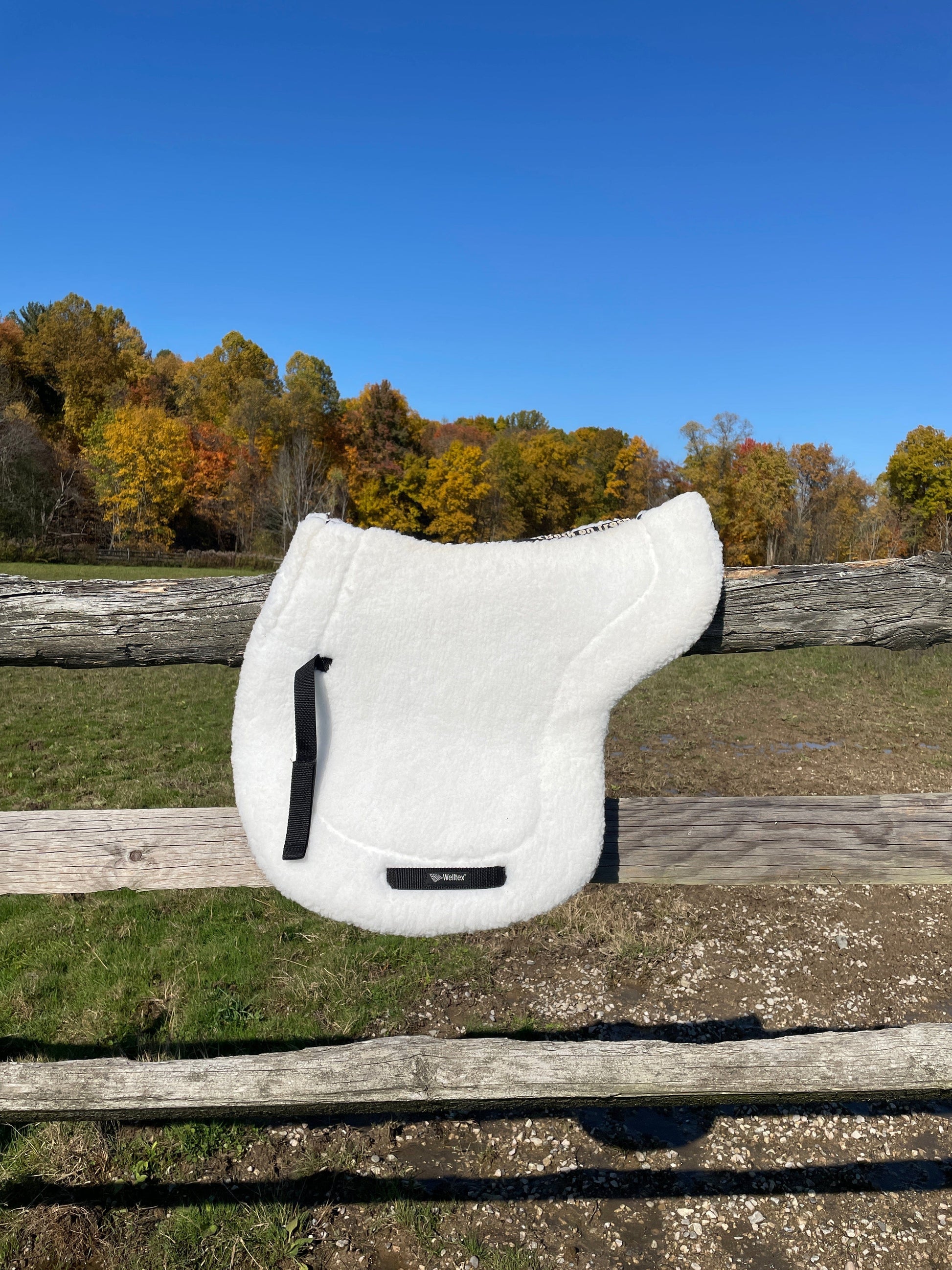 ThriftedEquestrian Saddle Pad Back On Track Ceramic Teddy Saddle Pad