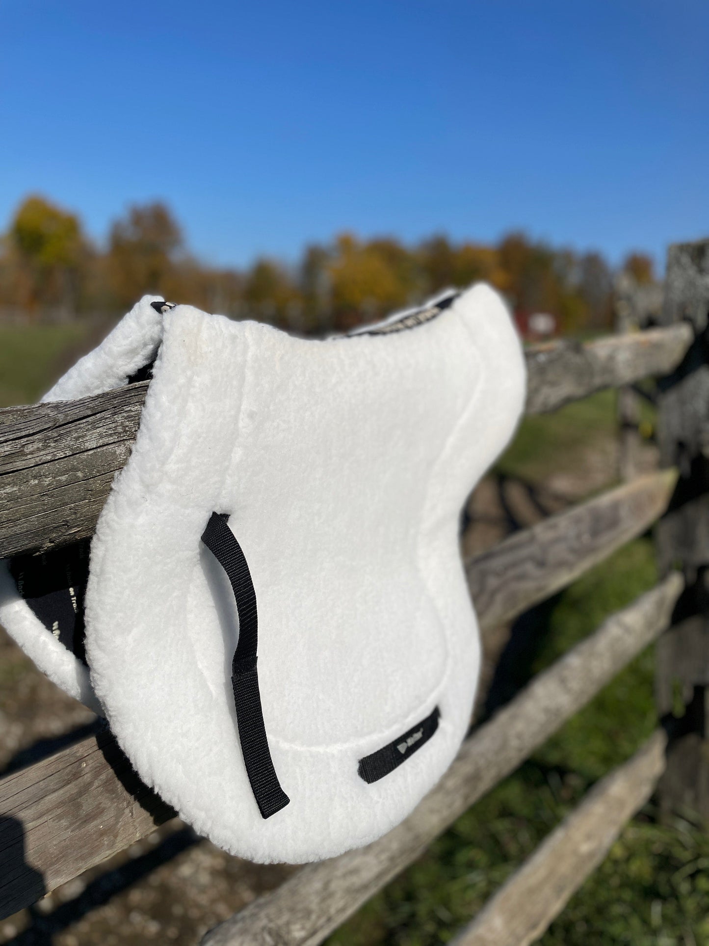 ThriftedEquestrian Saddle Pad Back On Track Ceramic Teddy Saddle Pad